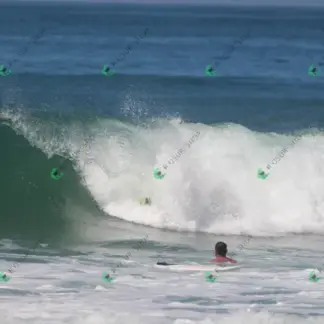 Foto 766 - CCB 2026-02-17