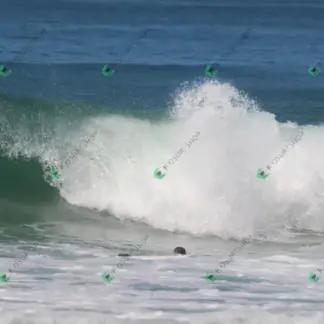 Foto 765 - CCB 2026-02-17