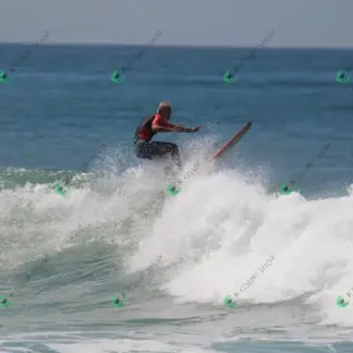 Foto 798 - CCB 2026-02-17