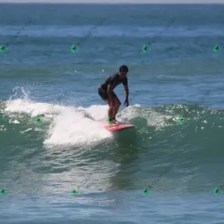 Foto 813 - CCB 2026-02-17