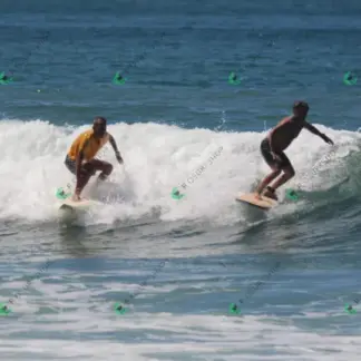 Foto 812 - CCB 2026-02-17