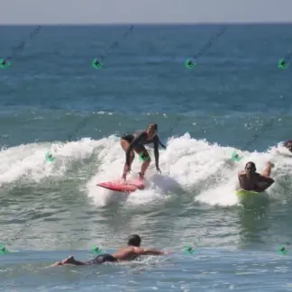 Foto 827 - CCB 2026-02-17