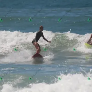 Foto 831 - CCB 2026-02-17