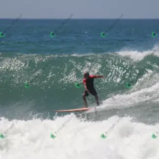 Foto 874 - CCB 2026-02-17