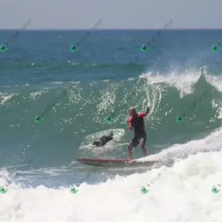 Foto 875 - CCB 2026-02-17