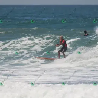 Foto 870 - CCB 2026-02-17