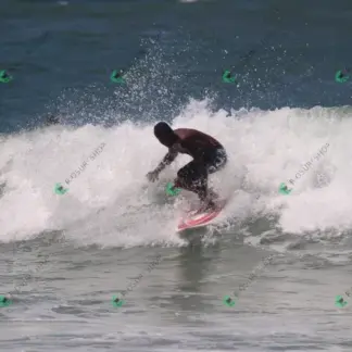 Foto 919 - CCB 2026-02-17