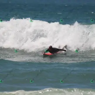 Foto 929 - CCB 2026-02-17