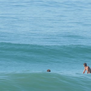 Video 4 - Macumba Curvão 2026-02-17