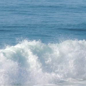 Video 3 - Macumba Curvão 2026-02-17