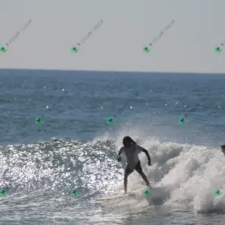 Foto 100 - CCB 2026-02-18