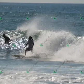 Foto 102 - CCB 2026-02-18