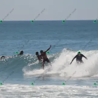 Foto 599 - CCB 2026-02-18