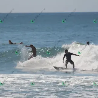 Foto 596 - CCB 2026-02-18