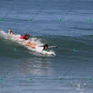 Foto 623 - CCB 2026-02-18