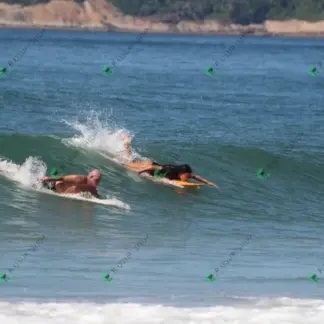 Foto 665 - CCB 2026-02-18