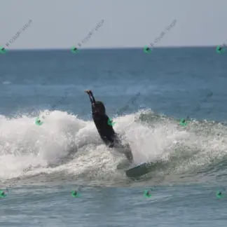 Foto 699 - CCB 2026-02-18