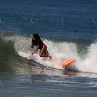 Foto 705 - CCB 2026-02-18