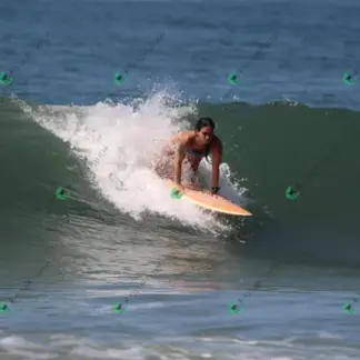 Foto 712 - CCB 2026-02-18