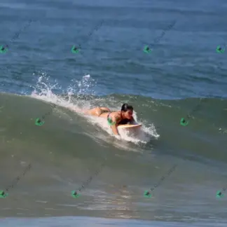 Foto 728 - CCB 2026-02-18