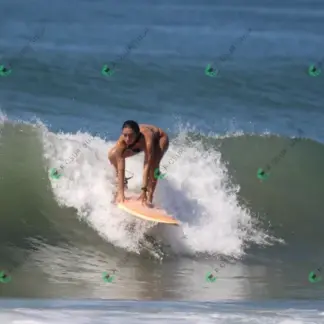 Foto 731 - CCB 2026-02-18