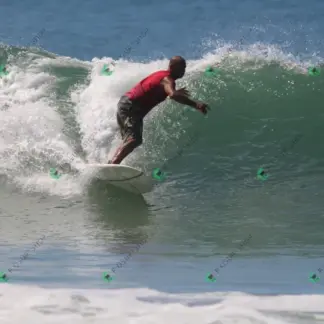 Foto 733 - CCB 2026-02-18