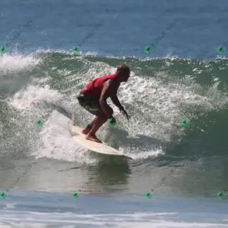 Foto 736 - CCB 2026-02-18