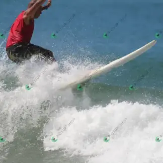 Foto 734 - CCB 2026-02-18