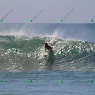 Foto 742 - CCB 2026-02-18