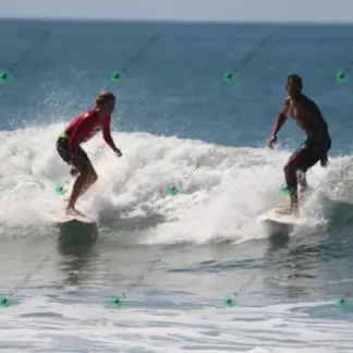 Foto 765 - CCB 2026-02-18