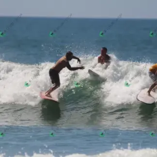 Foto 776 - CCB 2026-02-18