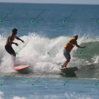 Foto 779 - CCB 2026-02-18