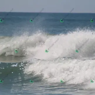 Foto 817 - CCB 2026-02-18