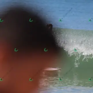 Foto 839 - CCB 2026-02-18