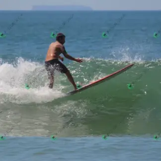 Foto 876 - CCB 2026-02-18