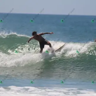 Foto 879 - CCB 2026-02-18