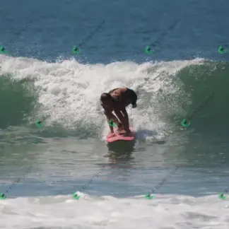 Foto 890 - CCB 2026-02-18