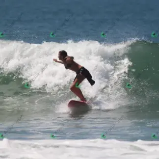 Foto 891 - CCB 2026-02-18