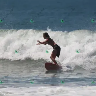 Foto 896 - CCB 2026-02-18