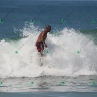 Foto 902 - CCB 2026-02-18