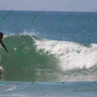 Foto 910 - CCB 2026-02-18