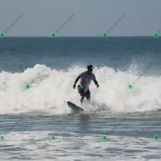 Foto 919 - CCB 2026-02-18