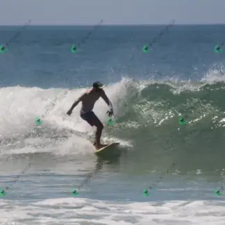 Foto 945 - CCB 2026-02-18