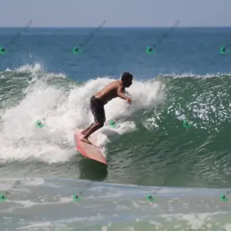 Foto 948 - CCB 2026-02-18