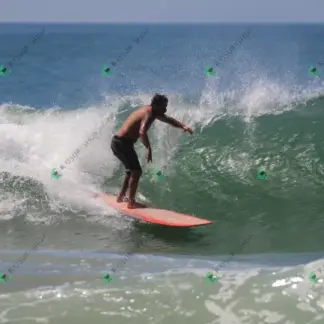 Foto 941 - CCB 2026-02-18