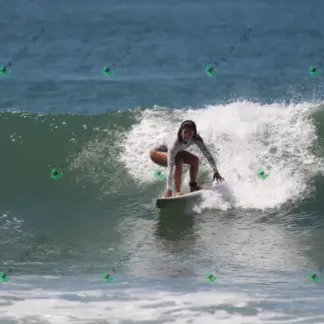 Foto 951 - CCB 2026-02-18