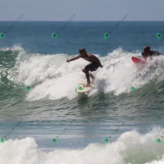 Foto 955 - CCB 2026-02-18