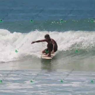 Foto 959 - CCB 2026-02-18