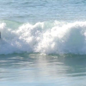 Video 36 - 8w Rua do Surf 2026-02-18