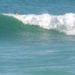 Video 87 - 8w Rua do Surf 2026-02-18